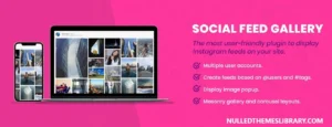 Social Feed Gallery PRO v4.1.0 Plugin Free Download