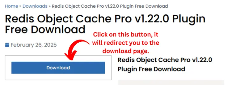 Redis Object Cache Pro Plugin Download Page