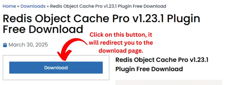 Redis Object Cache Pro Plugin Download Page